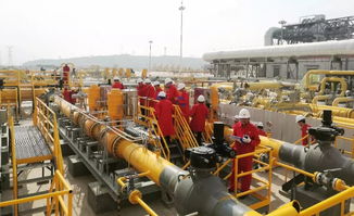 這家閥門公司兩套調(diào)壓裝置關(guān)鍵閥門成功通過中油管道公司現(xiàn)場(chǎng)工業(yè)性試驗(yàn)驗(yàn)收