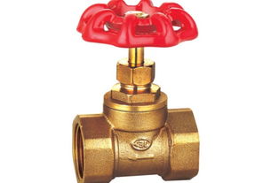 暖氣閥門(mén)選購(gòu)與操作全指南 價(jià)格、類型與使用詳解